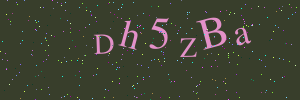 Validation image